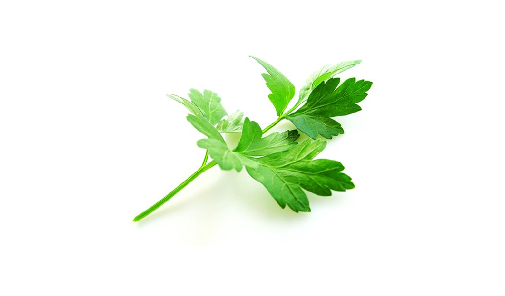 bahteniz gaziantep ağzı