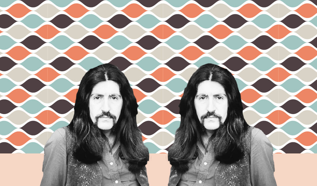 kültür elçisi, arkadaşım eşşek