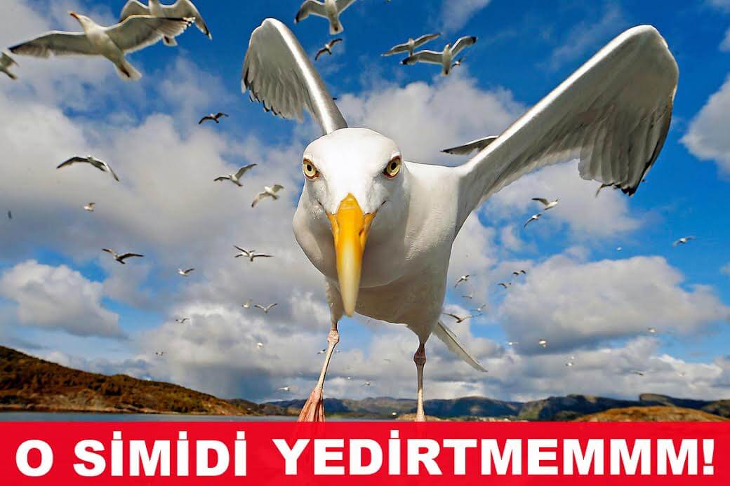 sokak yemekleri, sokak lezzetleri