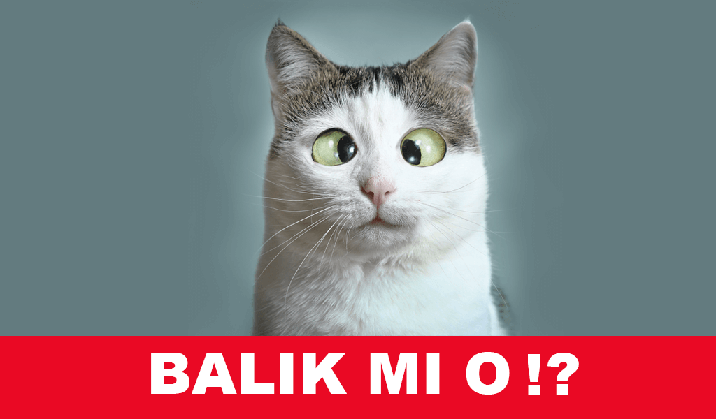 sokak yemekleri, sokak lezzetleri