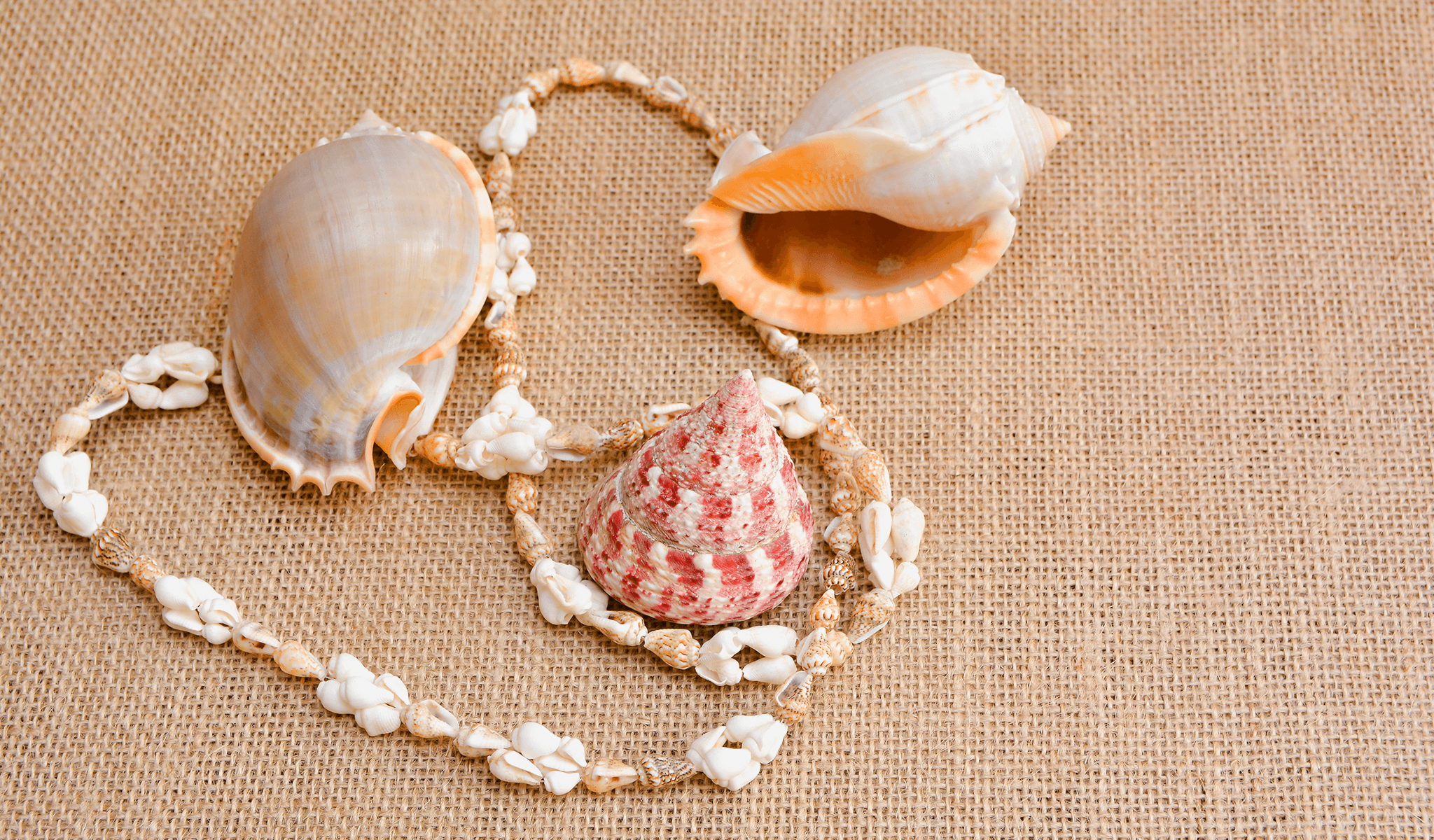 deniz kabuğundan kolye, plaj, deniz, sahil