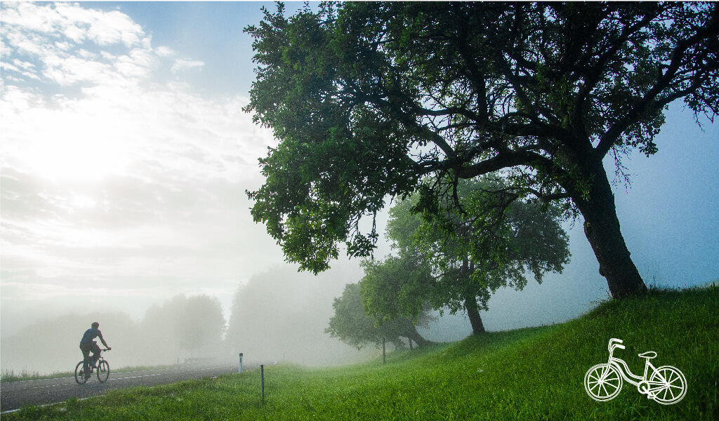 bisiklet_08 bcycle, natural, tree