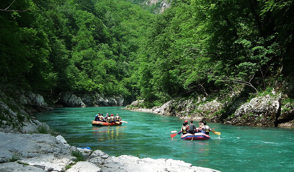 barhal çayı, artvin