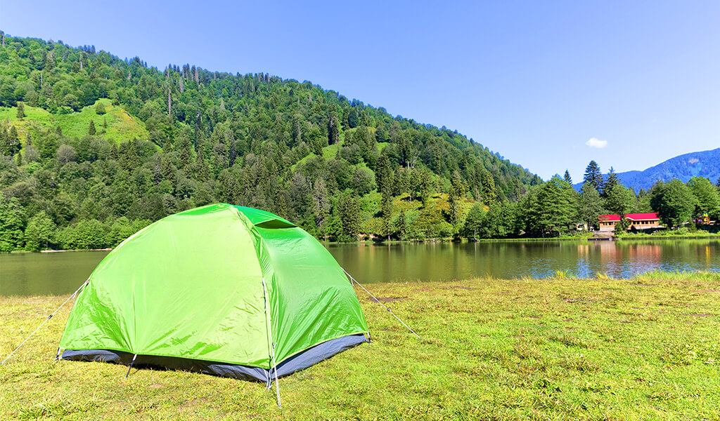 doğa, çadır kampı, orman