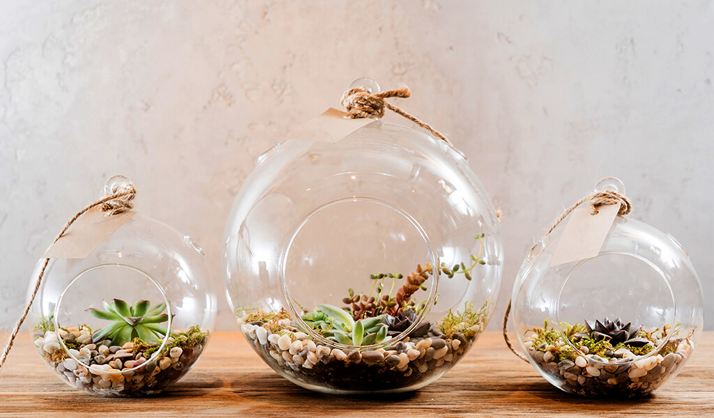 aquarium, terrarium, akvaryum