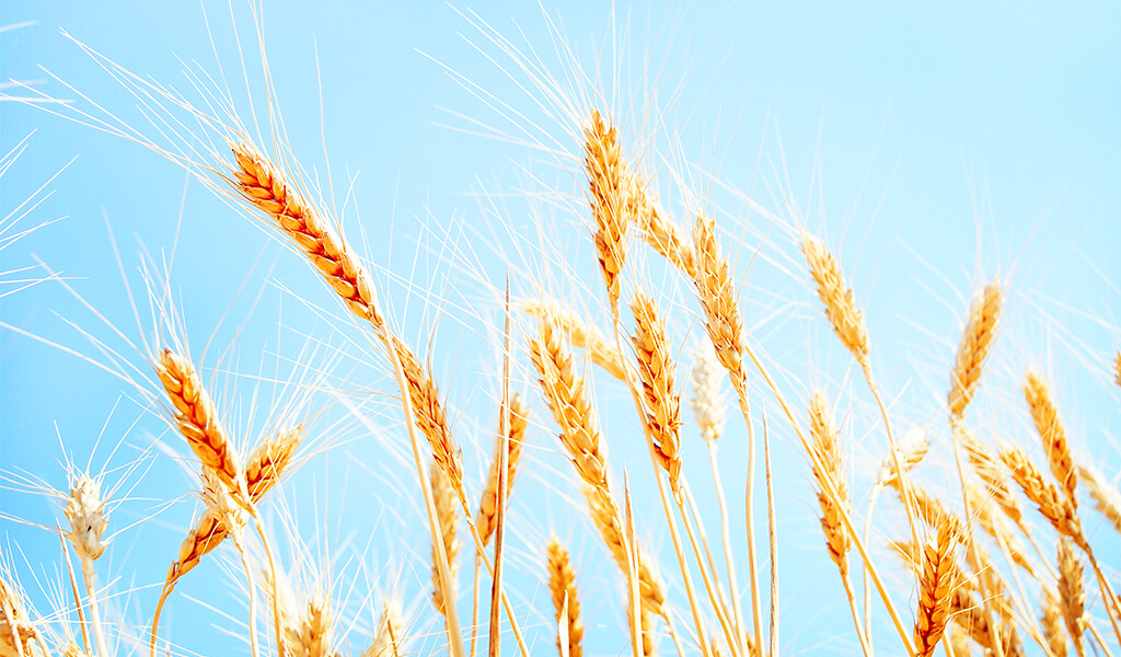 Zihninizi ve Bedeninizi Arındıracak 9 Tatil Önerisi