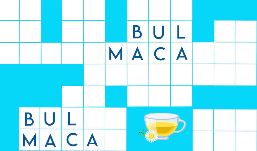 Bulmacalarla Hayatımıza Giren 10 Kelime