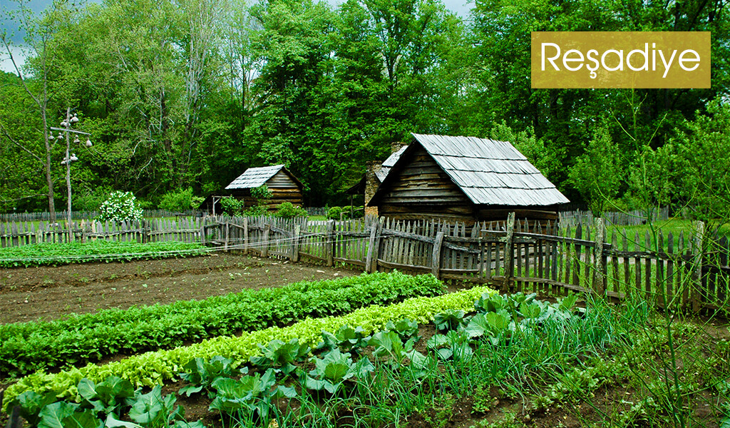Reşadiye07 istanbul köyleri