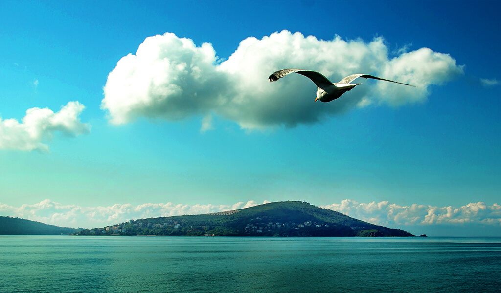 9 Madde ile Şehrin İçinde Şehirden Uzak, İstanbul’un Prens Adaları