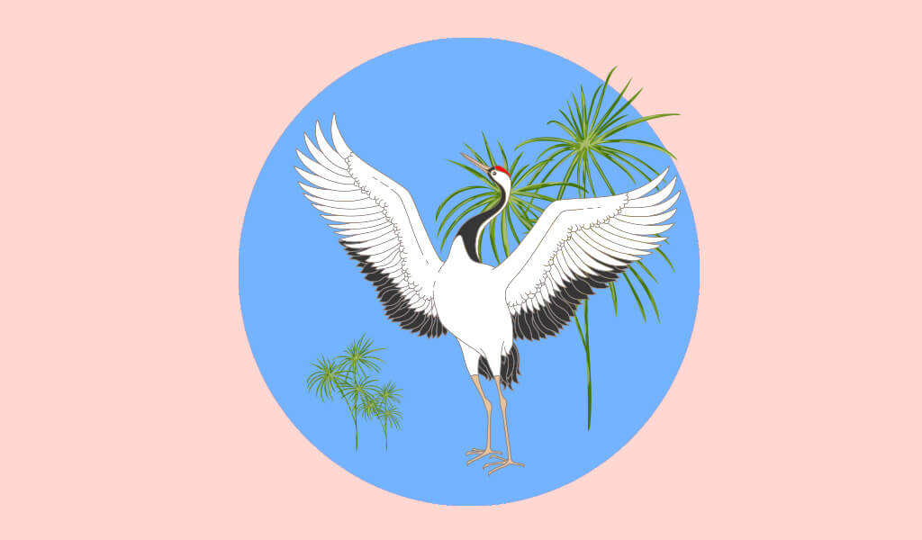 8 Madde İle Anadolu’da Bolluk Ve Bereketin Simgesi Olan Turna Kuşu ve Kültürümüzdeki Yeri