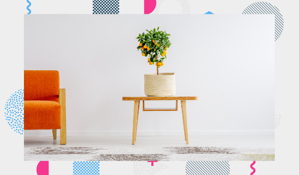 8 Fotoğraf İle Sadelikle Şıklığı Bir Araya Getiren Minimalist Ev Tasarımları