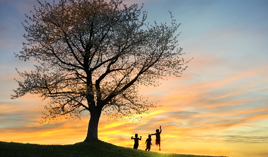 Geleceğe Enerjimiz Kalsın 8 Madde İle Sürdürülebilirlik