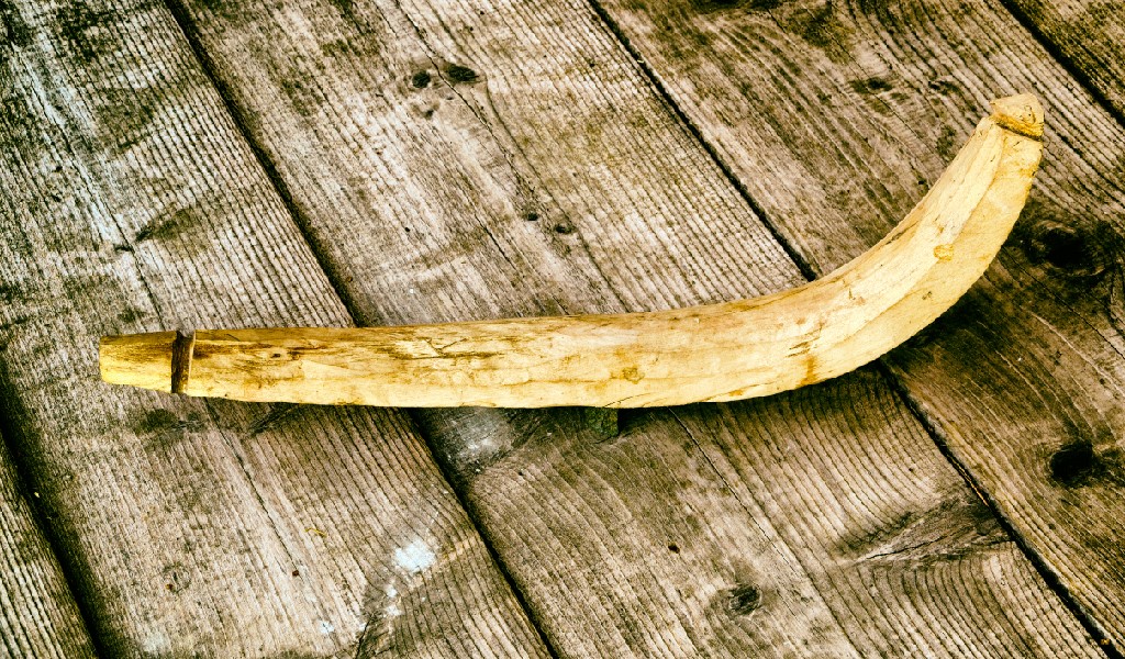 kayak ayakkabısı, kızak