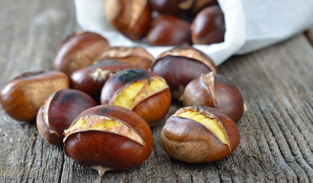 Kayıngiller Ailesinin Lezzetli Tohumu Kestane İle 8 Tarif