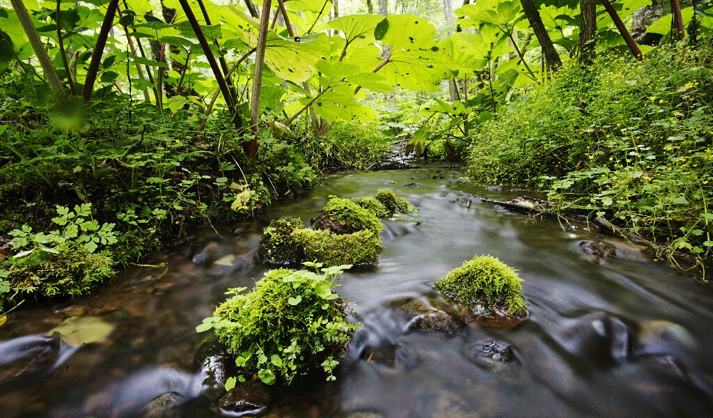 Sonbaharda Kamp Mekânı Arayanlara 7 Madde İle Bolu Yedigöller Rehberi