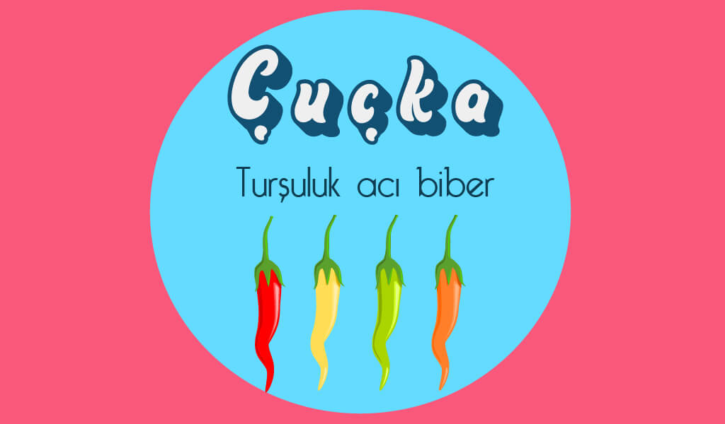 EGE-08 ege, ege şivesi