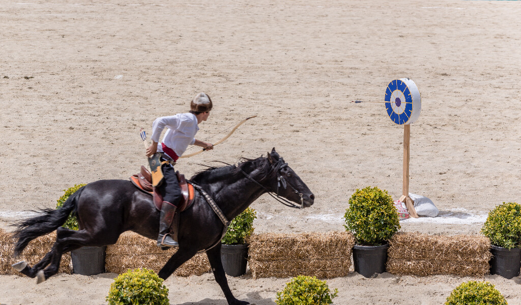 okculuk_03.jpg geleneksel türk sporları