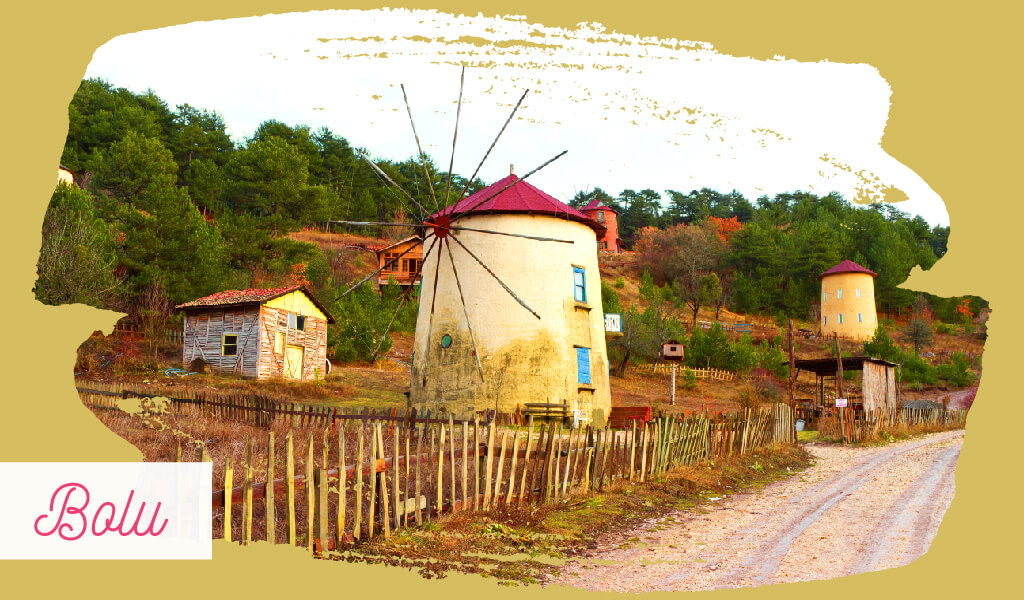 degirmen-04 yeldeğirmeni