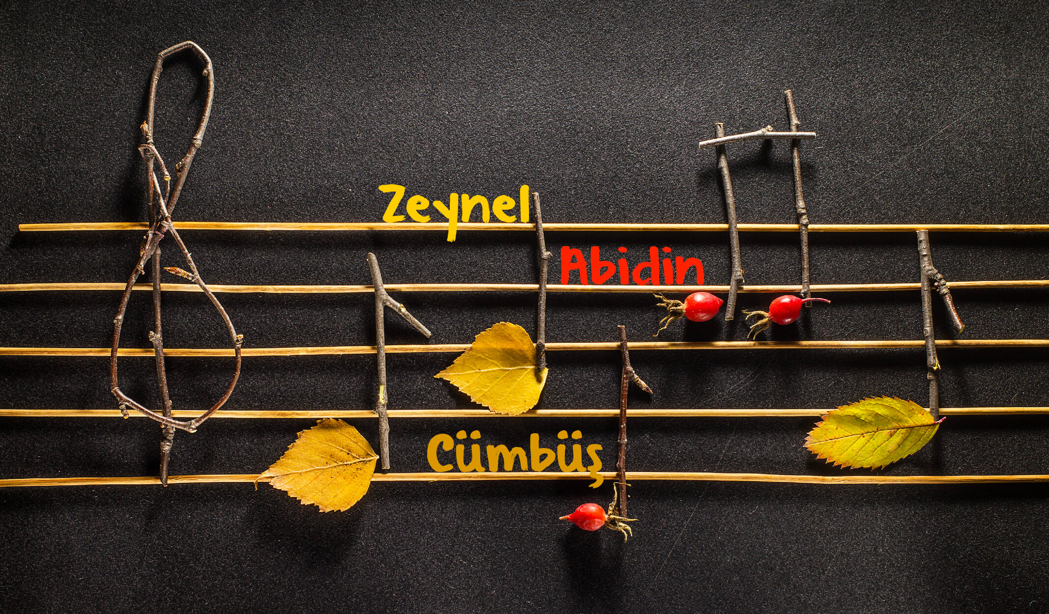 Telli Müzik Aleti Cümbüş ve Mucidi Zeynel Abidin