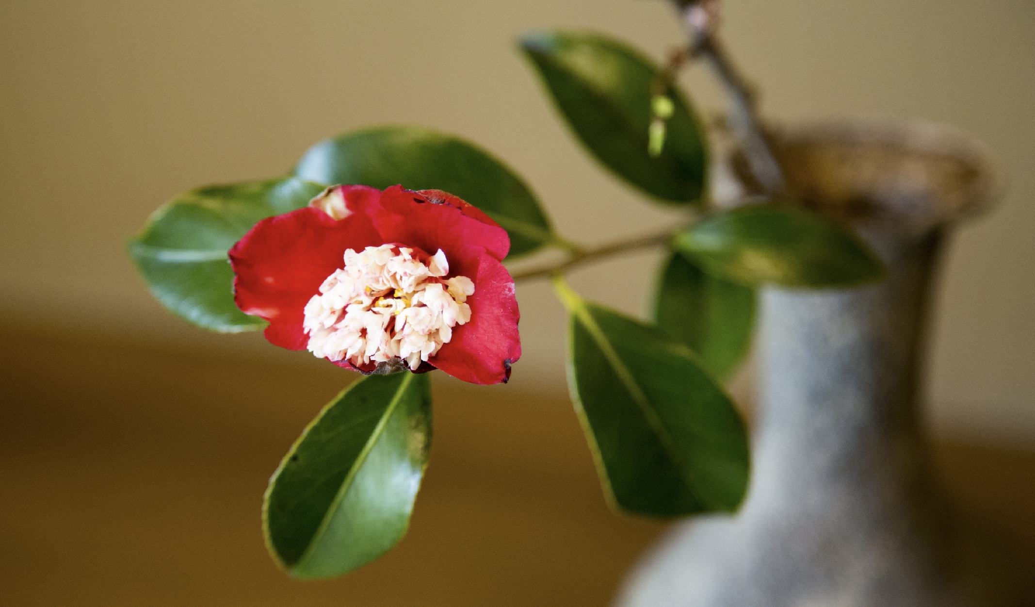 çiçek süsleme sanatı