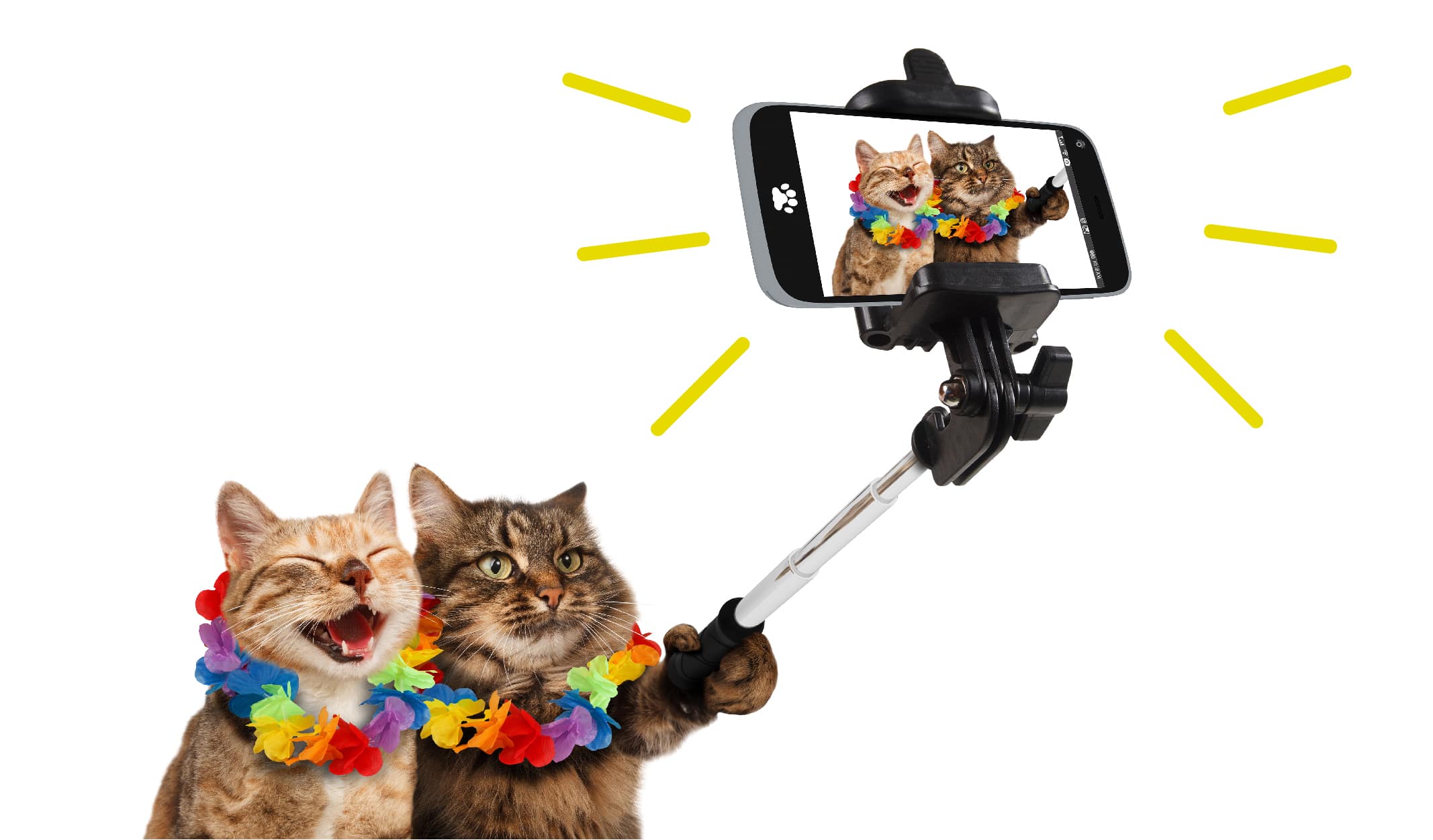 Cep Telefonunuzla En İyi Fotoğraf Karesini Yakalamanızı Sağlayacak 8 Öneri