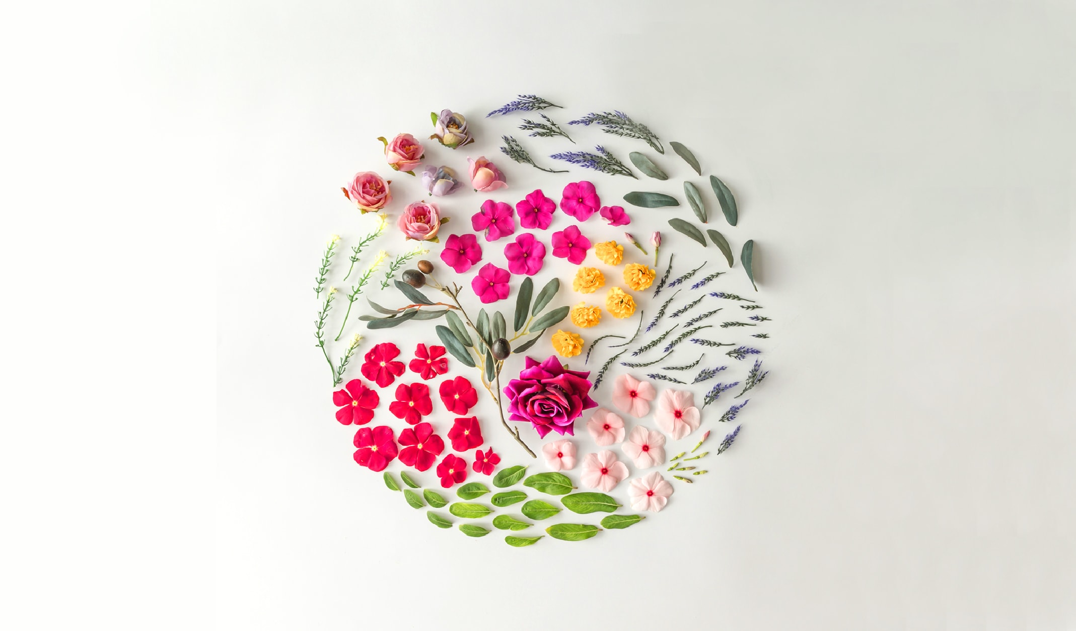 Baharda Açan Rengârenk 10 Çiçek