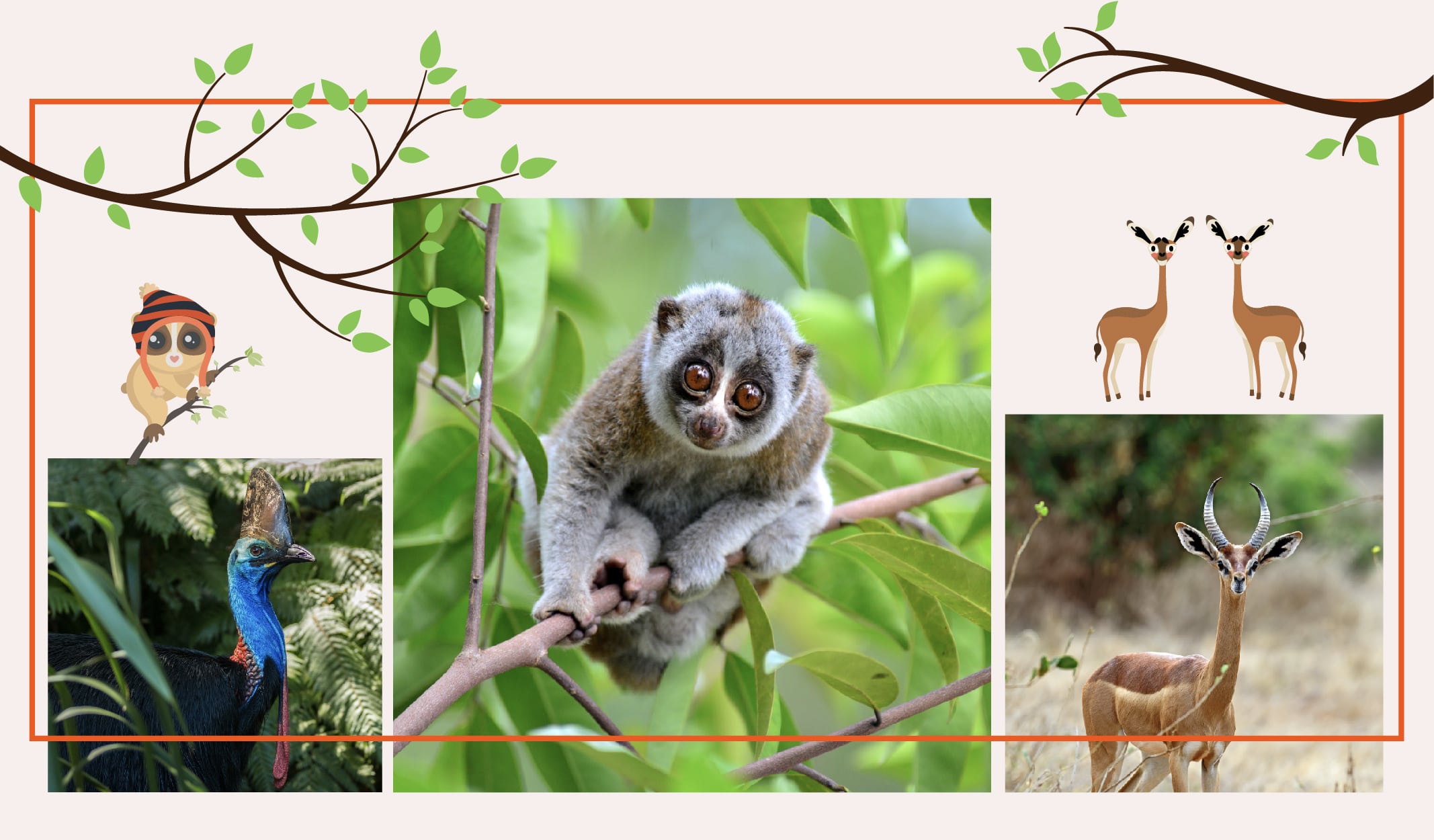 Garip Görünüşleriyle Sizi Şaşırtacak 9 Hayvan