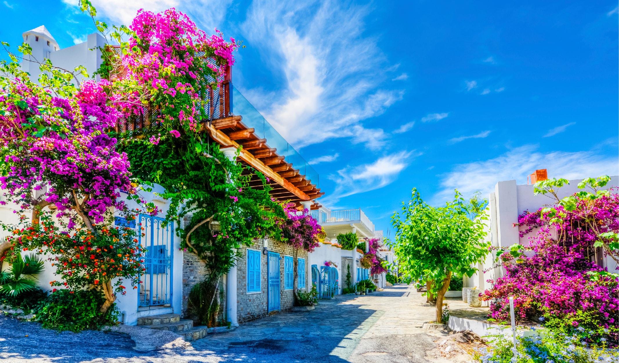 bocek_korunma-01-min