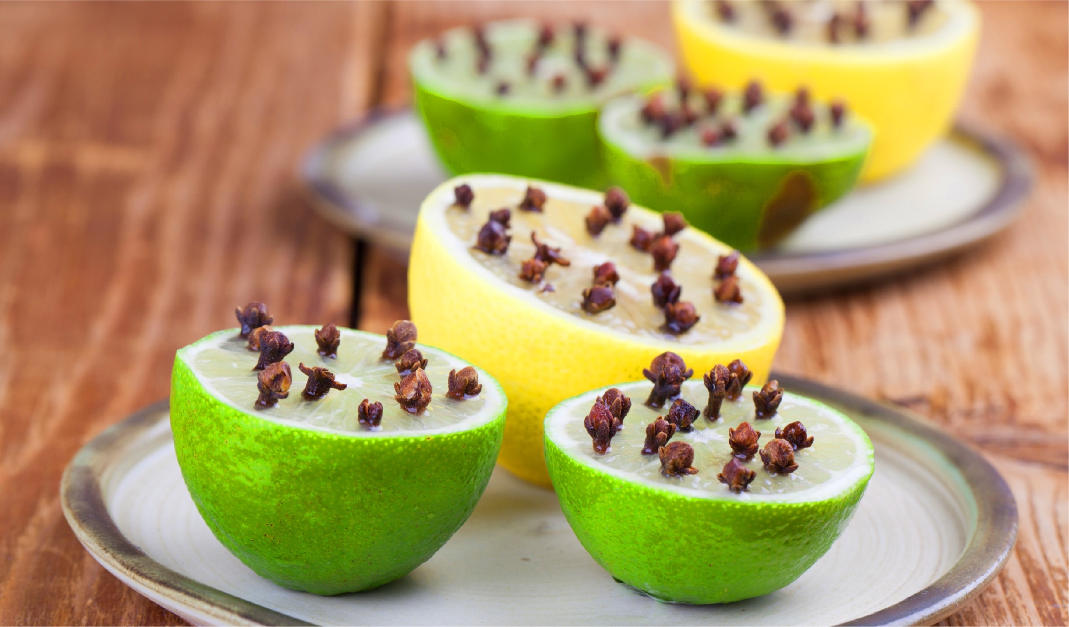 bocek_korunma-03-min