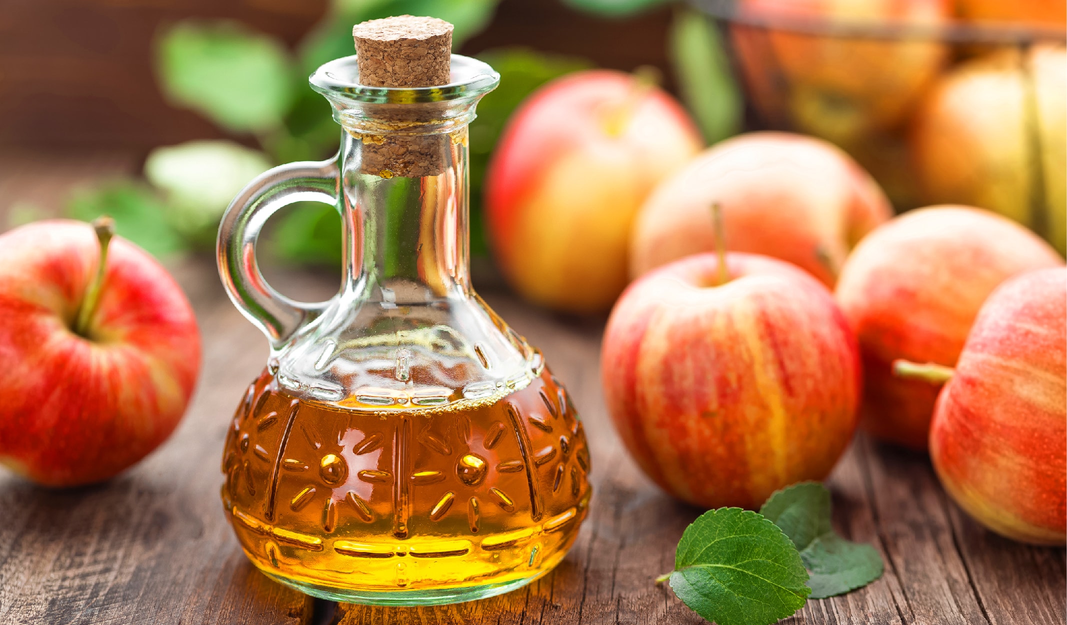 bocek_korunma-04-min