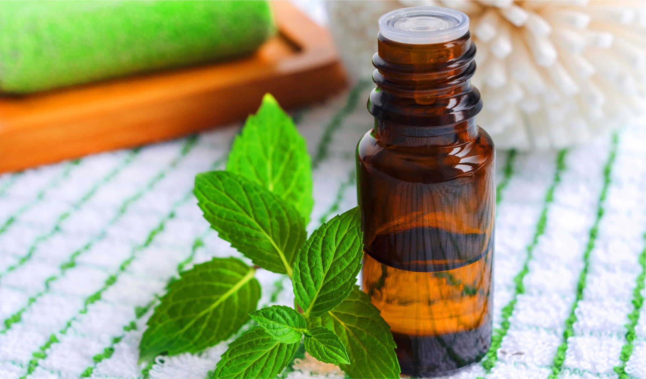 bocek_korunma-05-min