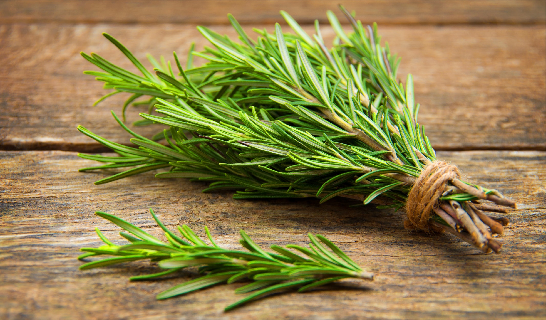 bocek_korunma-06-min