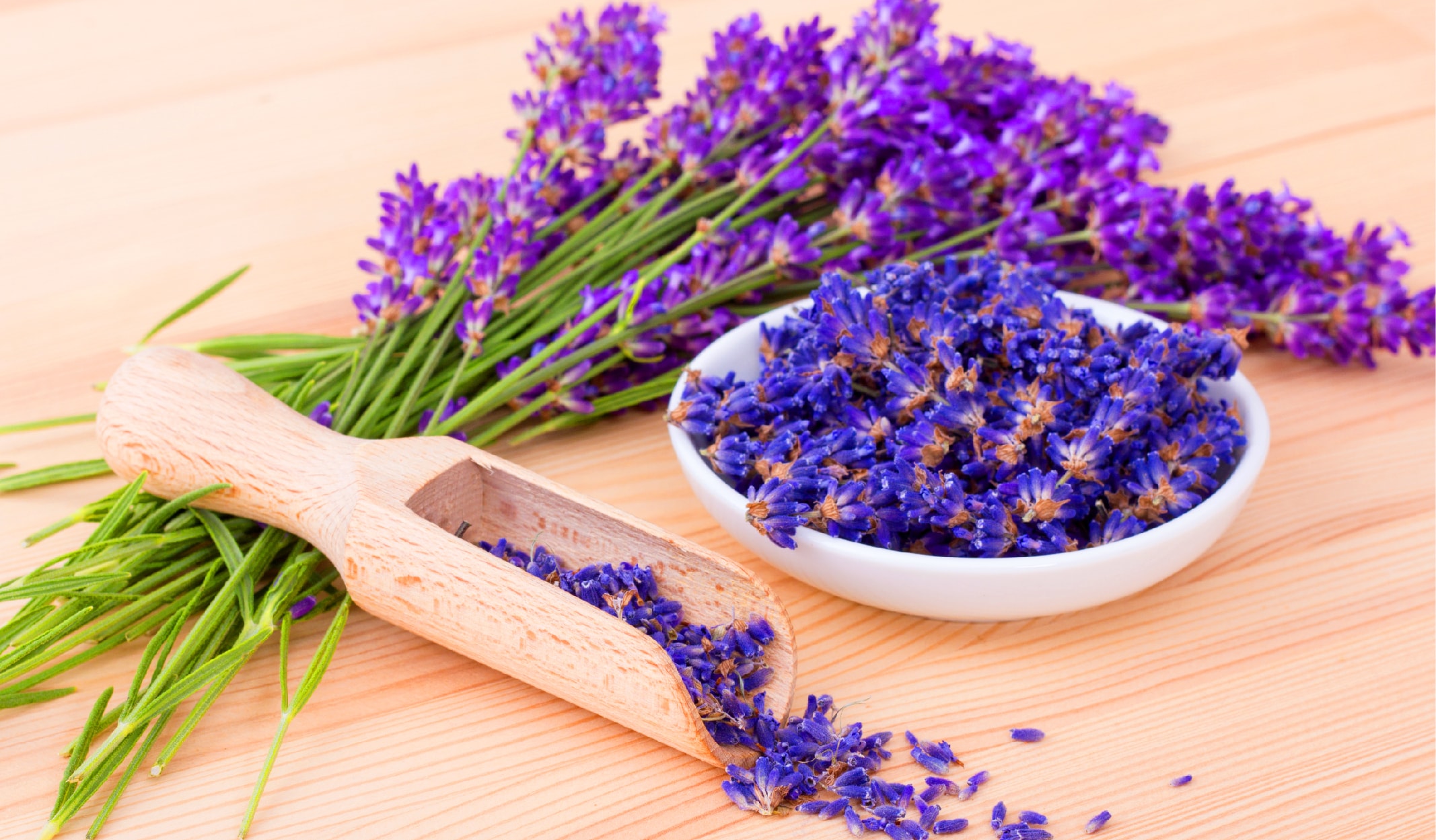 bocek_korunma-07-min