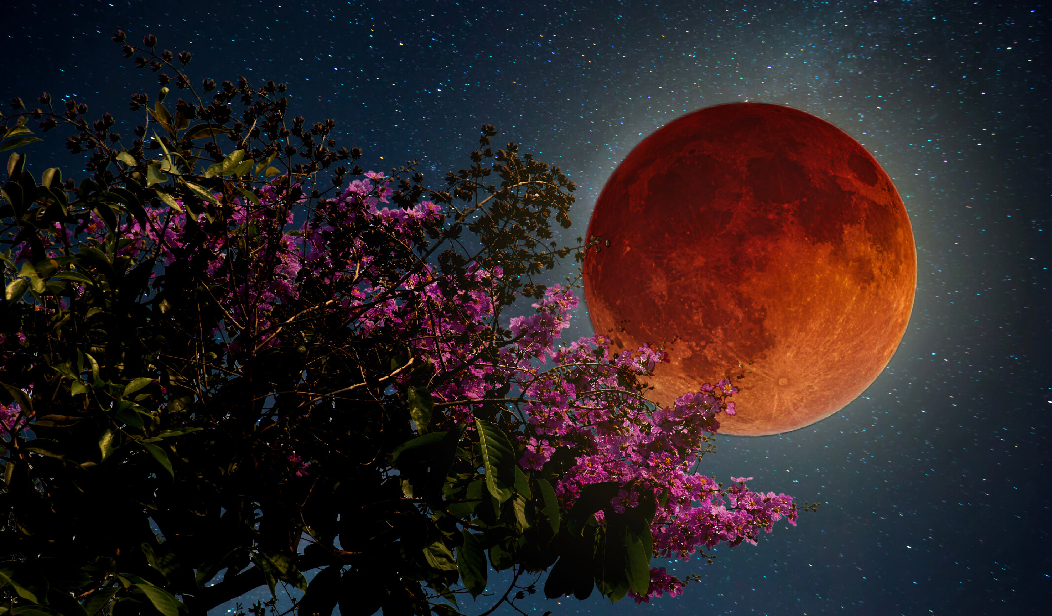 7 Maddede Kanlı Ay Tutulması