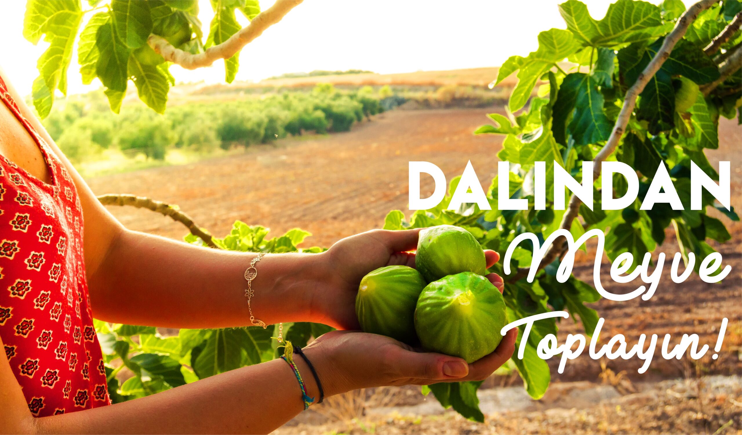 yaz_sonu_aktivite-05-min