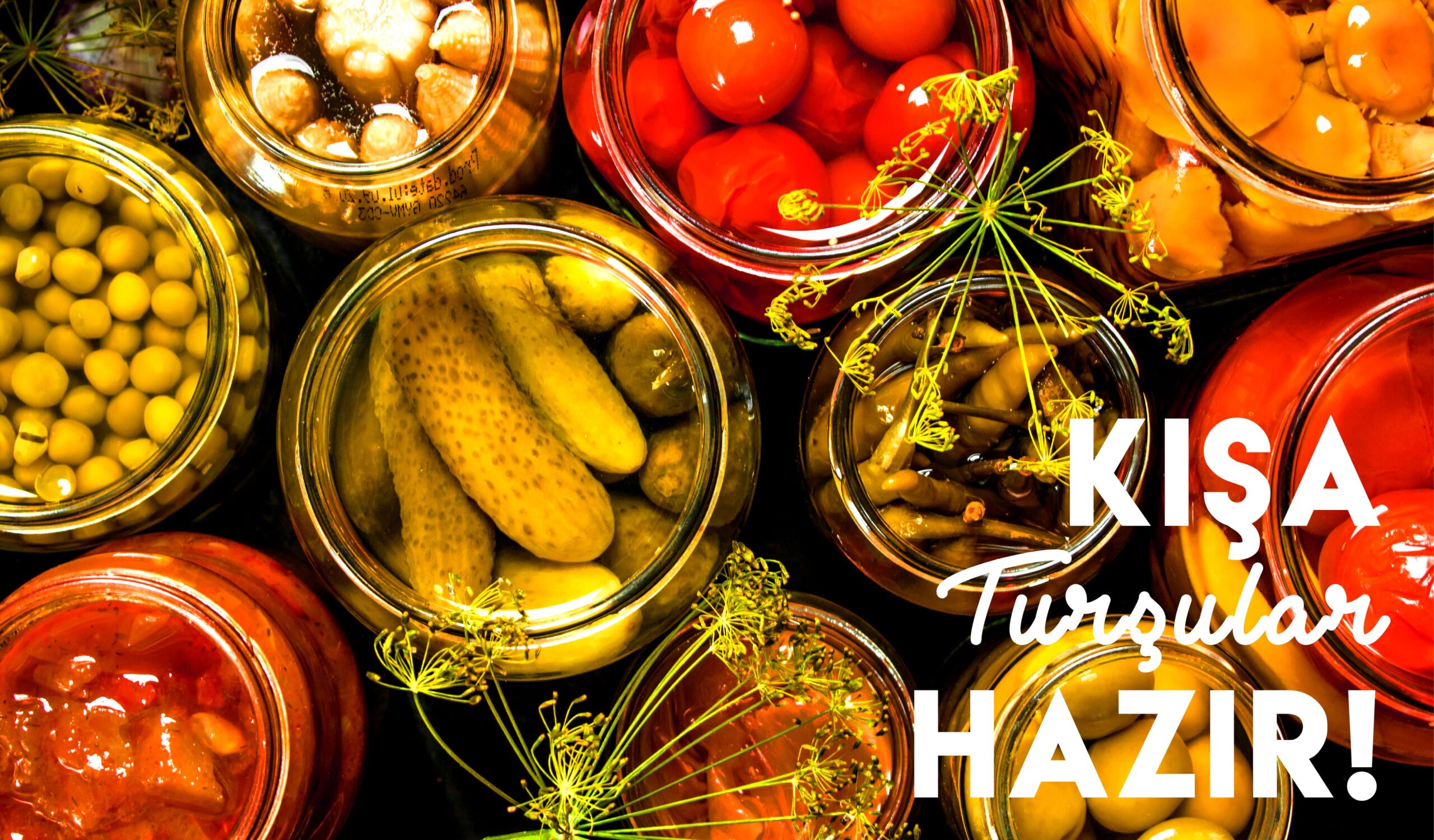 yaz_sonu_aktivite-07-min