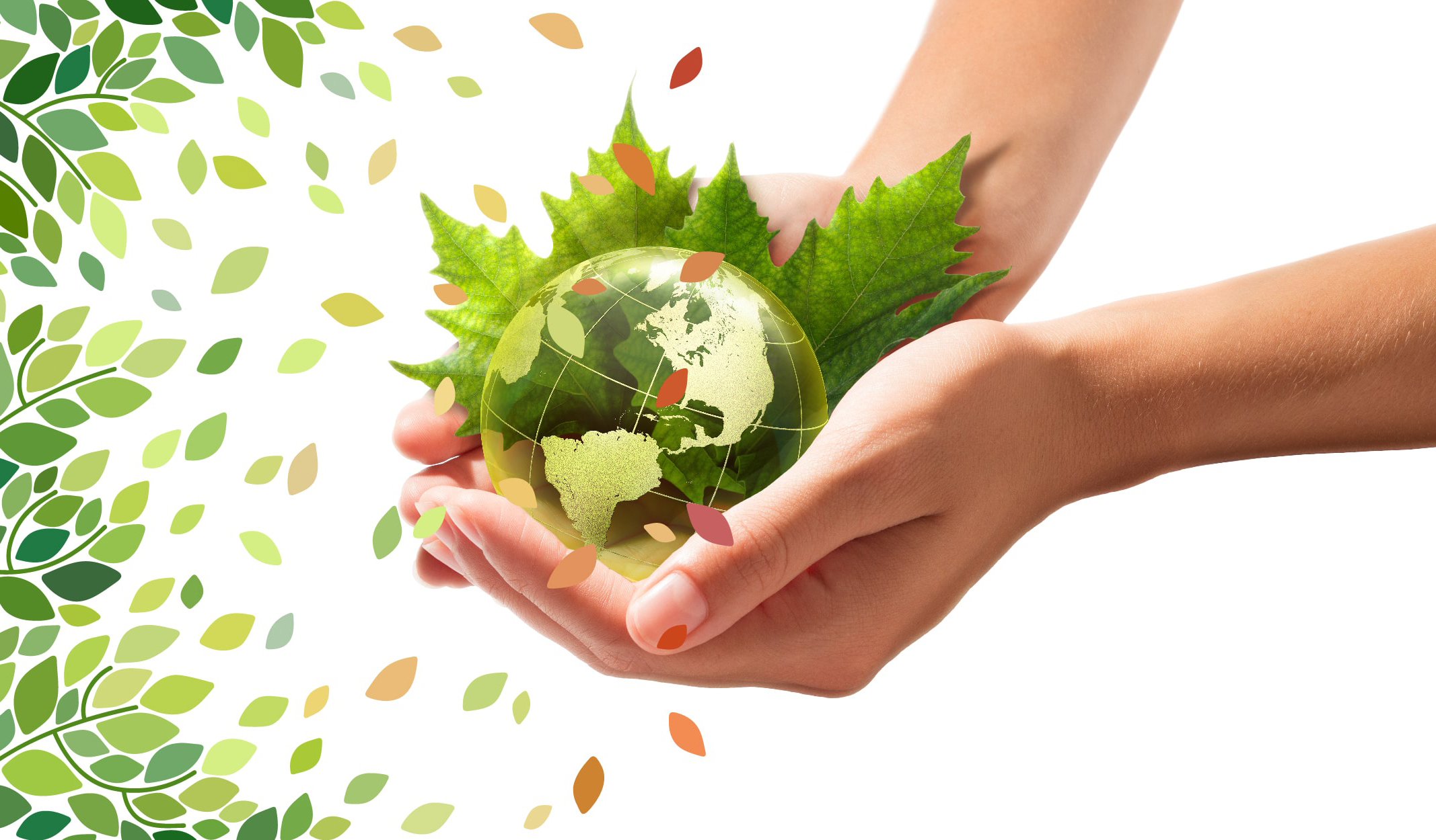 Kolayca Tasarruf Etmenizi Sağlayacak 8 Püf Noktası