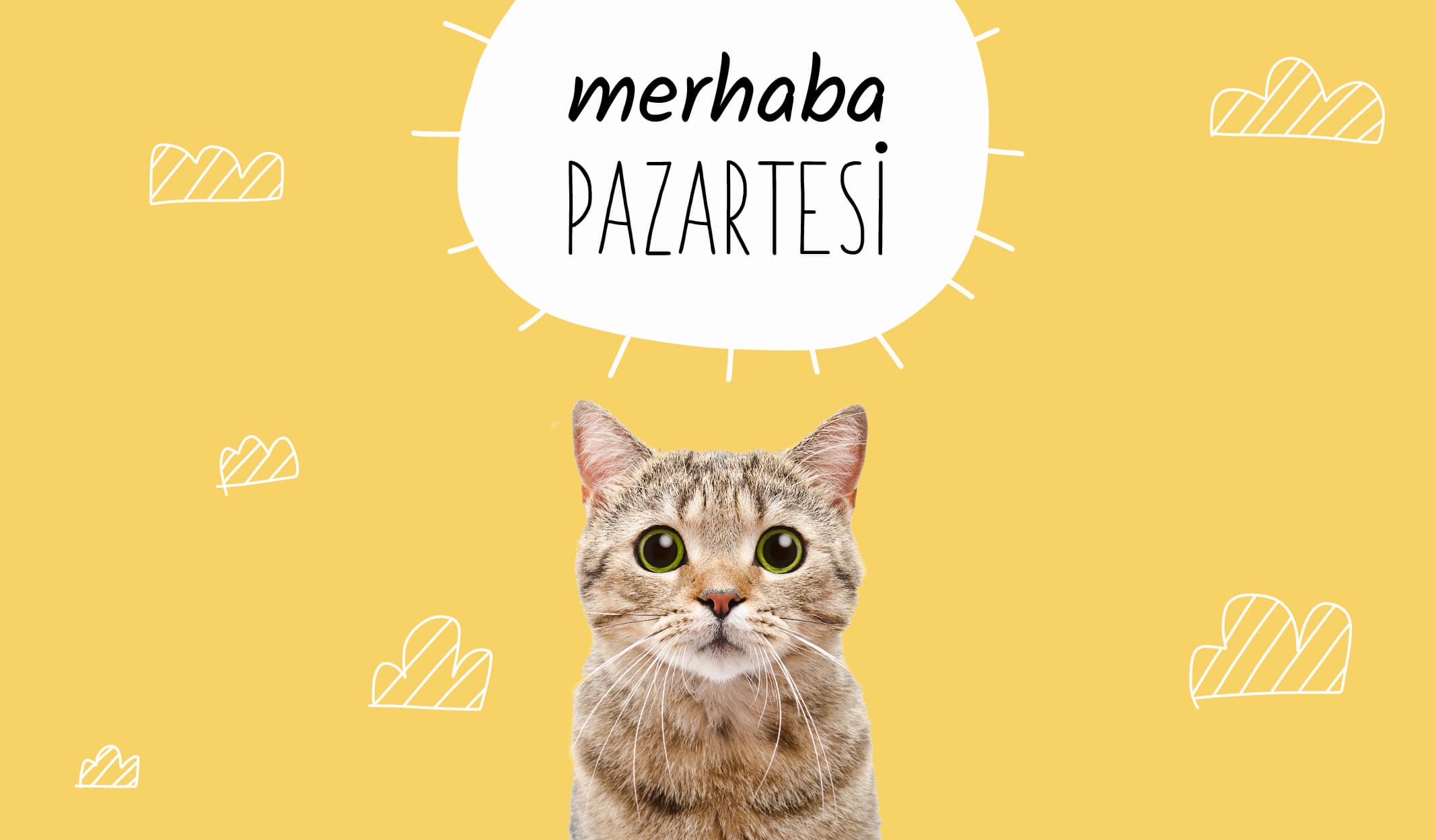 Sizi Pazartesi Sendromundan Kurtaracak 8 Sevimli Dostumuz