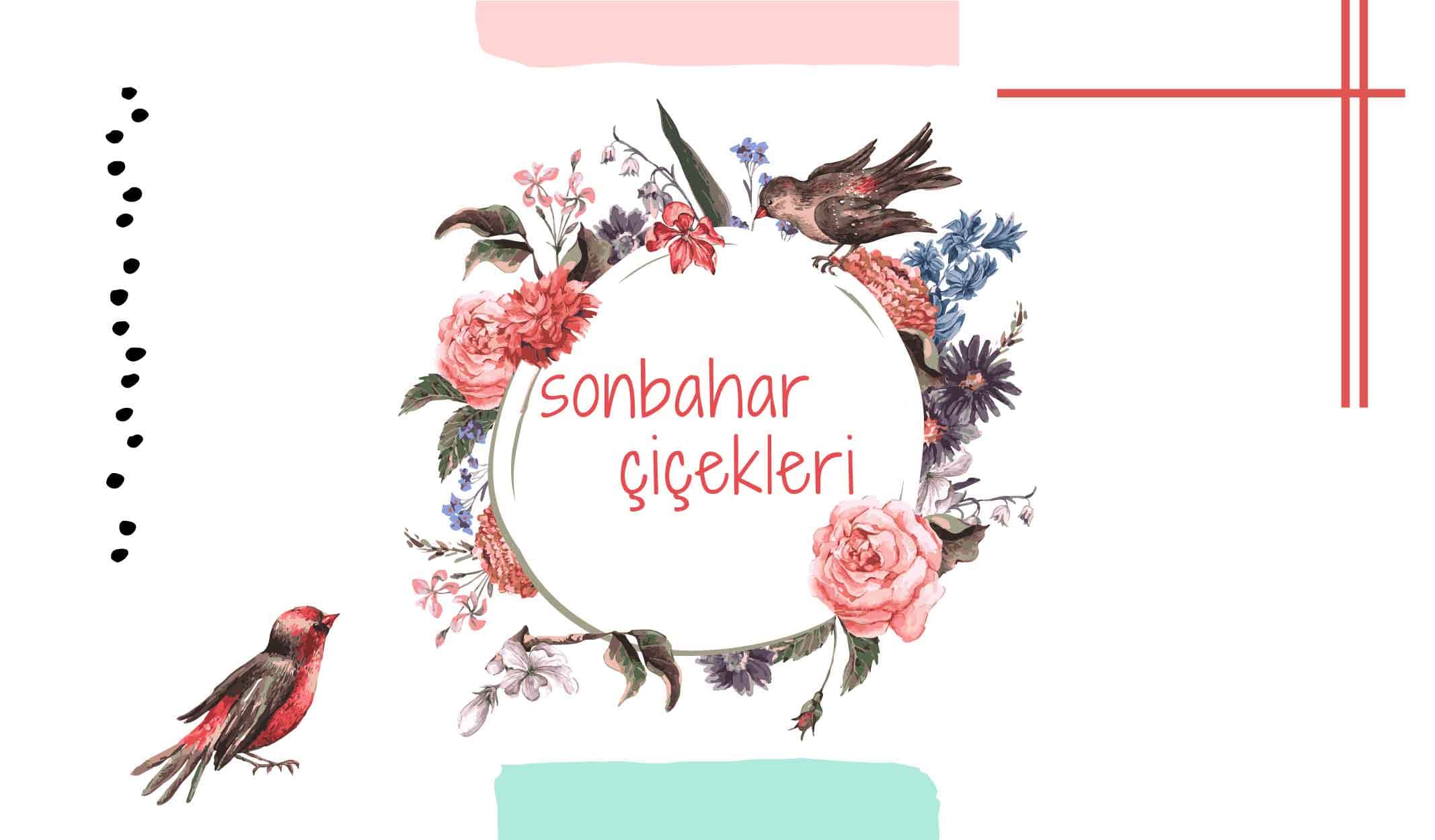 Sonbaharda Coşup Evinize Bahçenize Renk Katacak 8 Çiçek