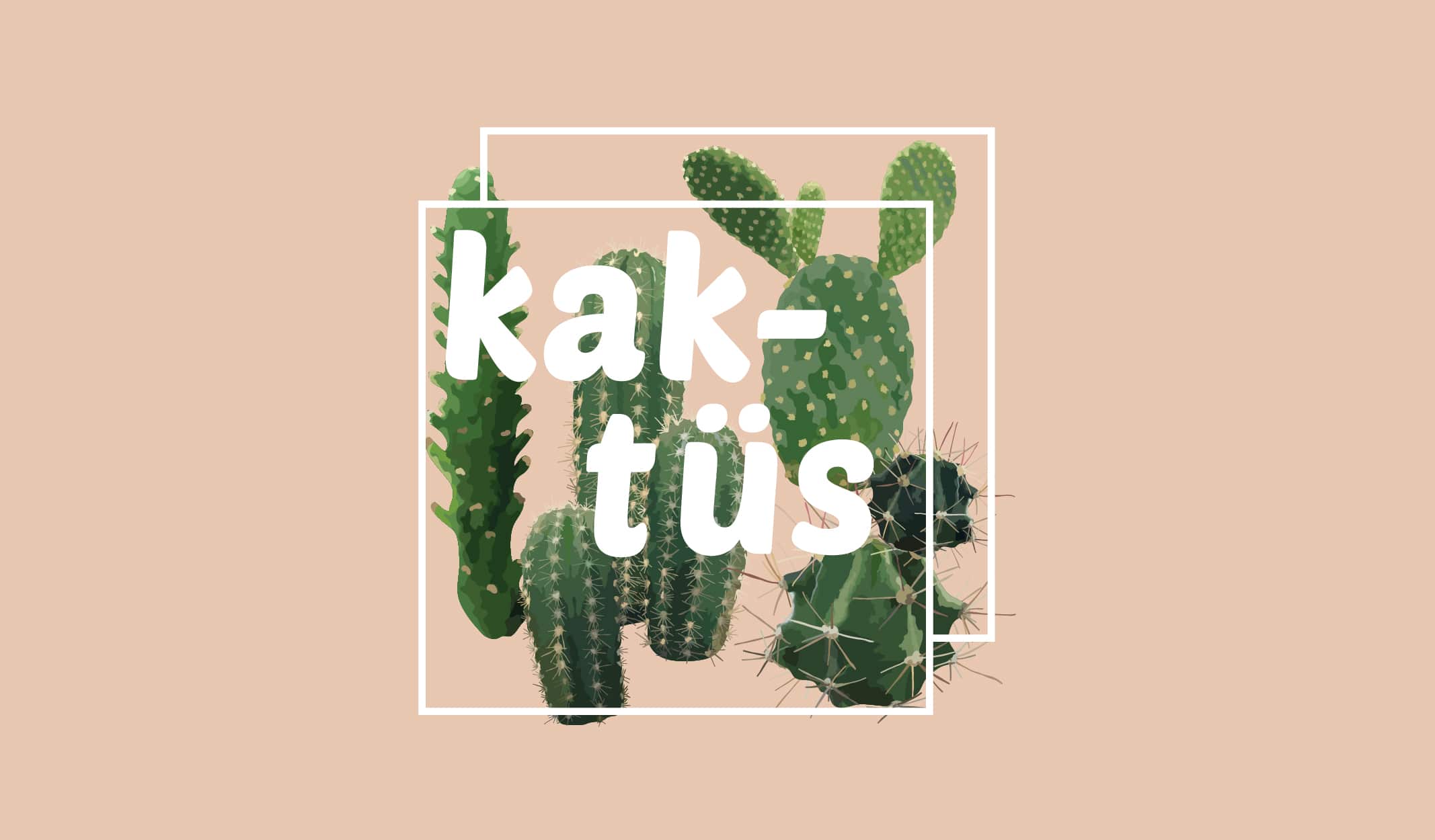 8 Madde ile Dayanıklı ve Enteresan Kaktüsler