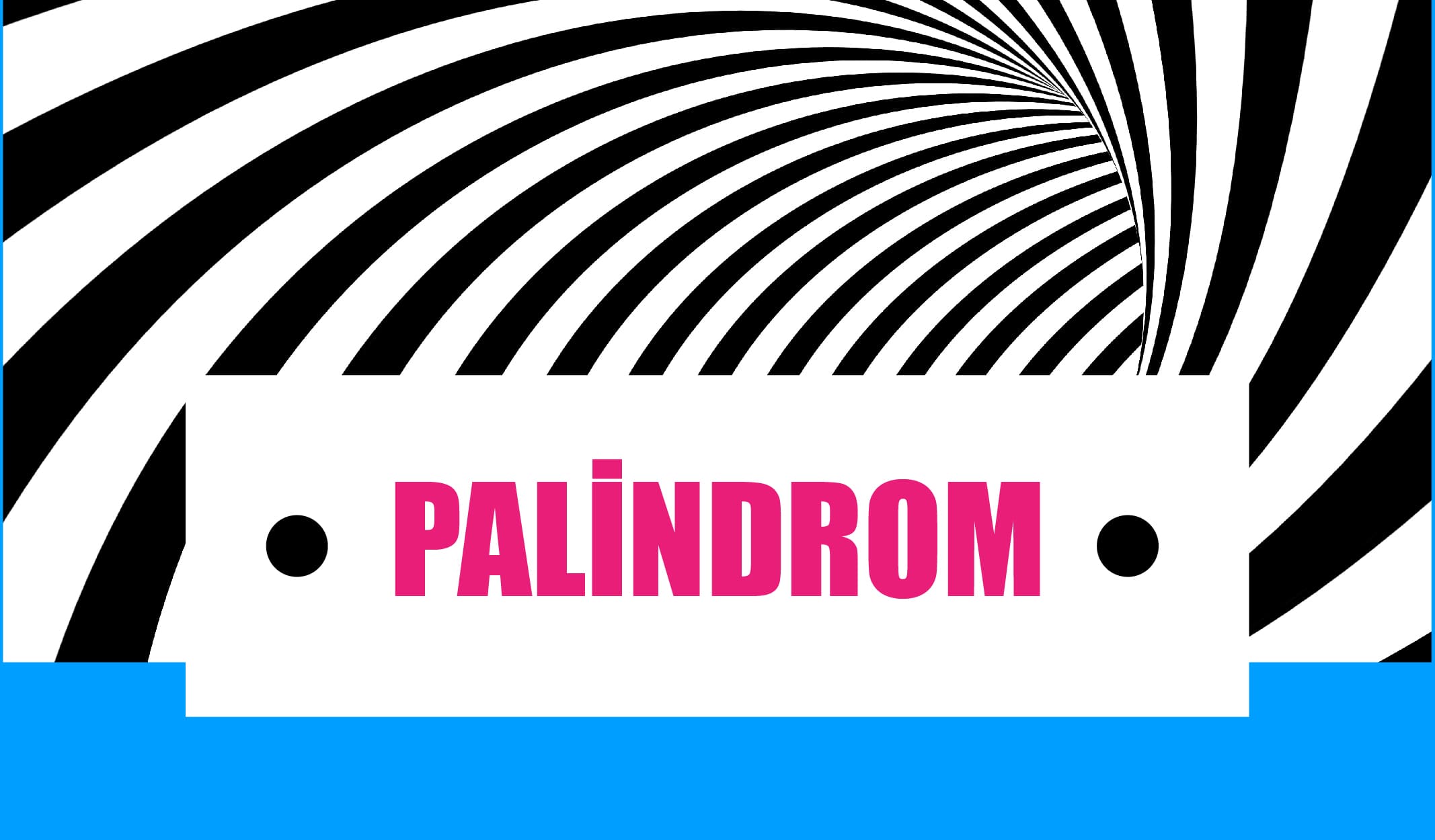 Türkçemizdeki Palindromlara Örnek 9 Kelime