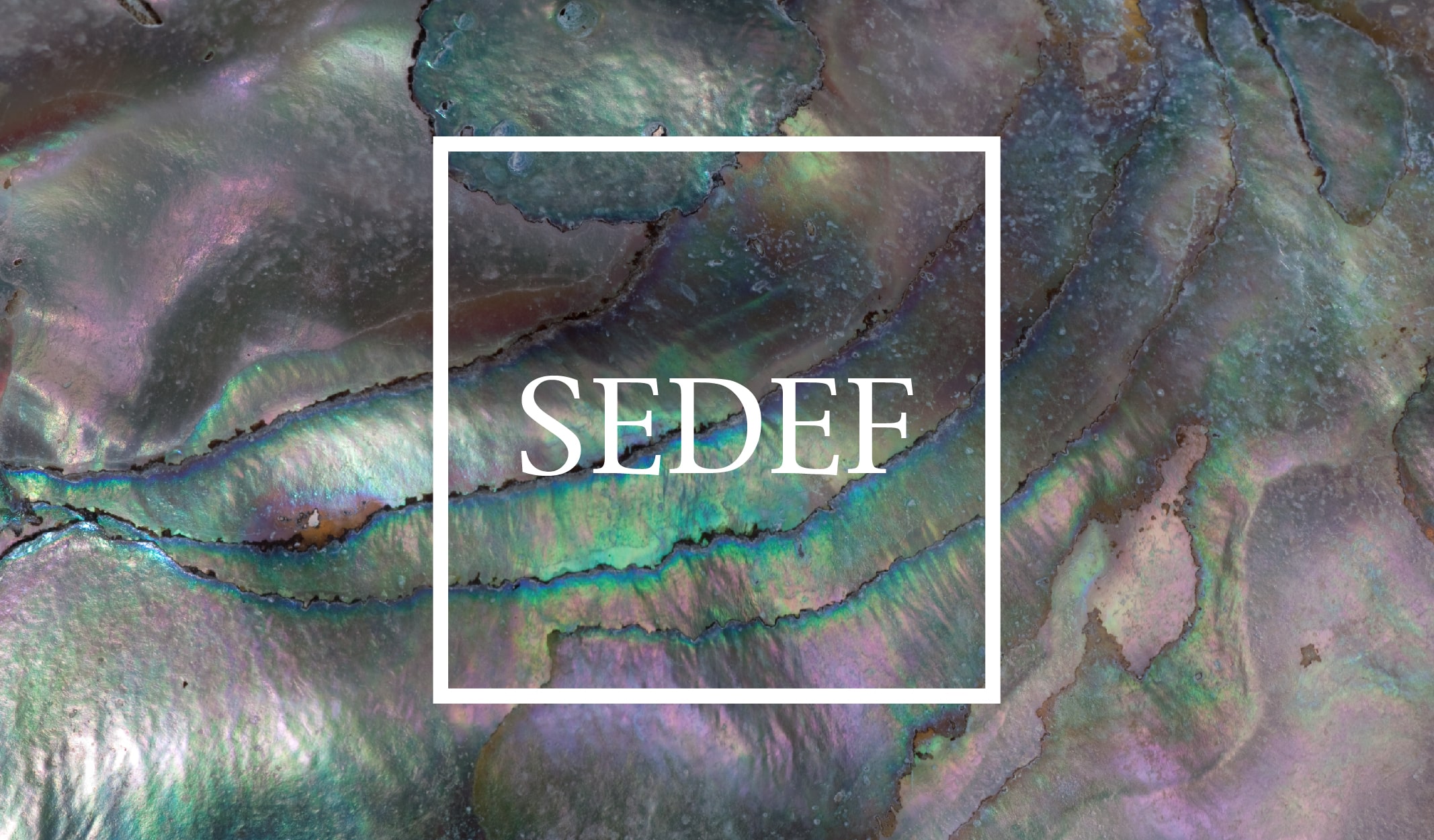 8 Maddeyle Sedef ve Sedefle Süslenen Aksesuarlar