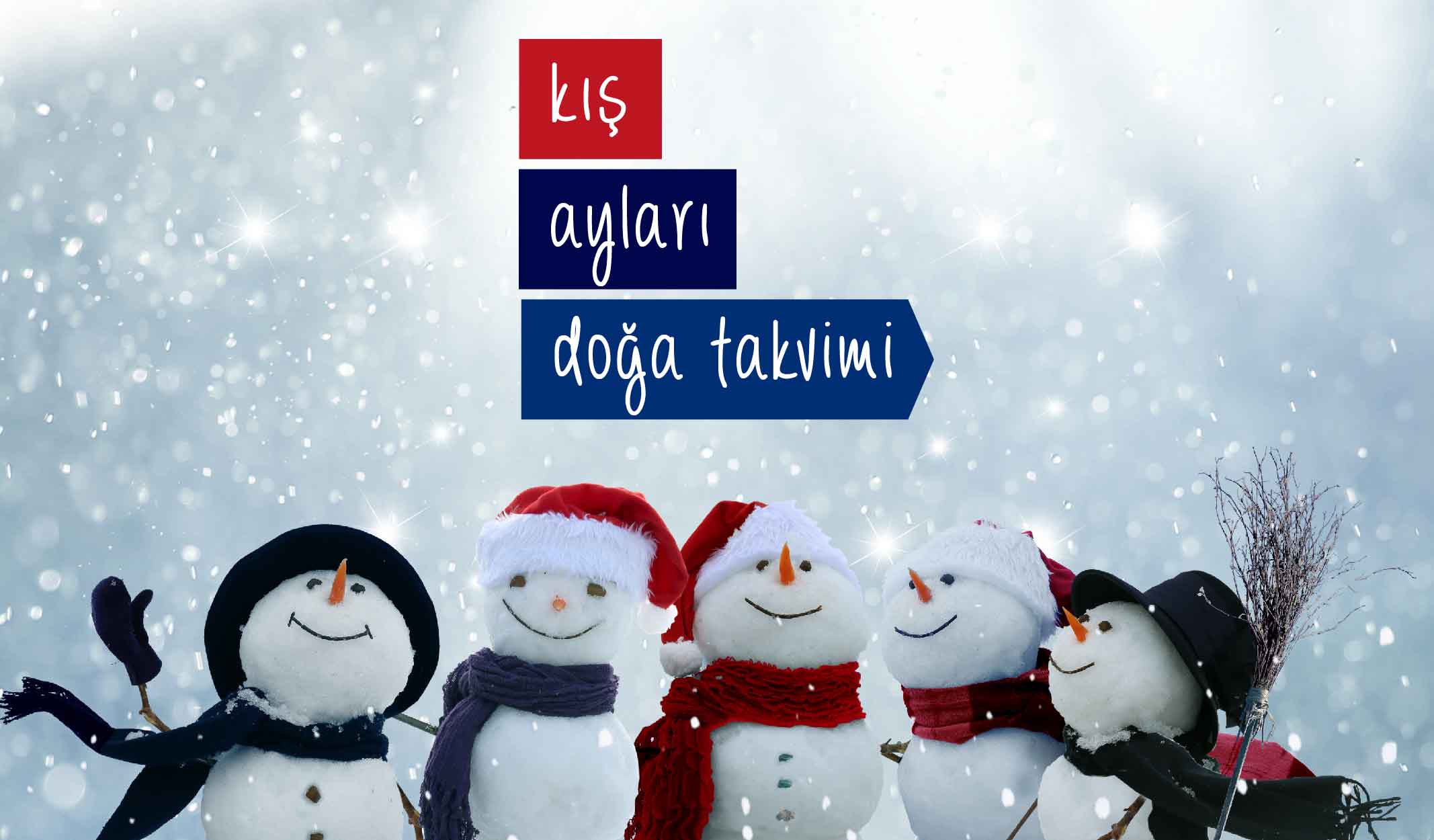 Kış Aylarında Doğada Hangi Olaylar Gerçekleşiyor?