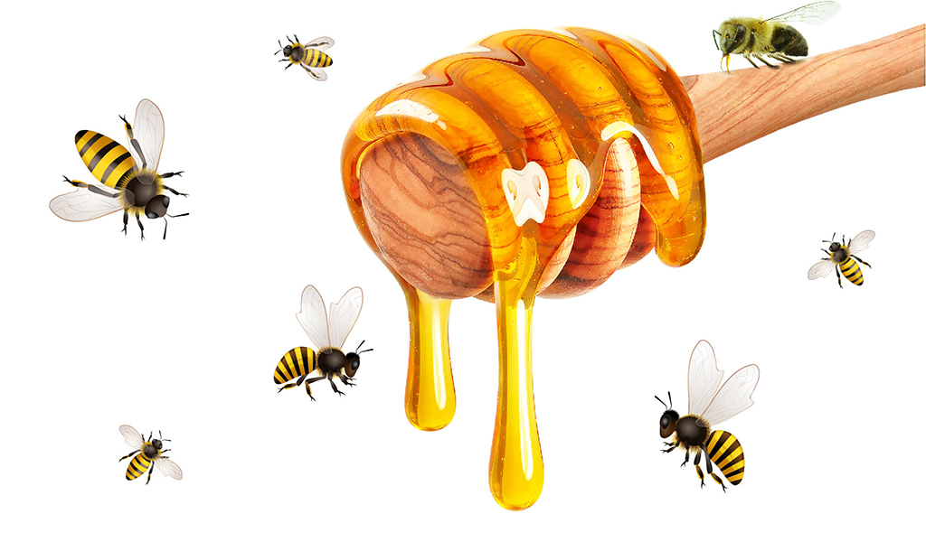 8 Maddeyle Doğanın Mucizesi Arı ve Bal