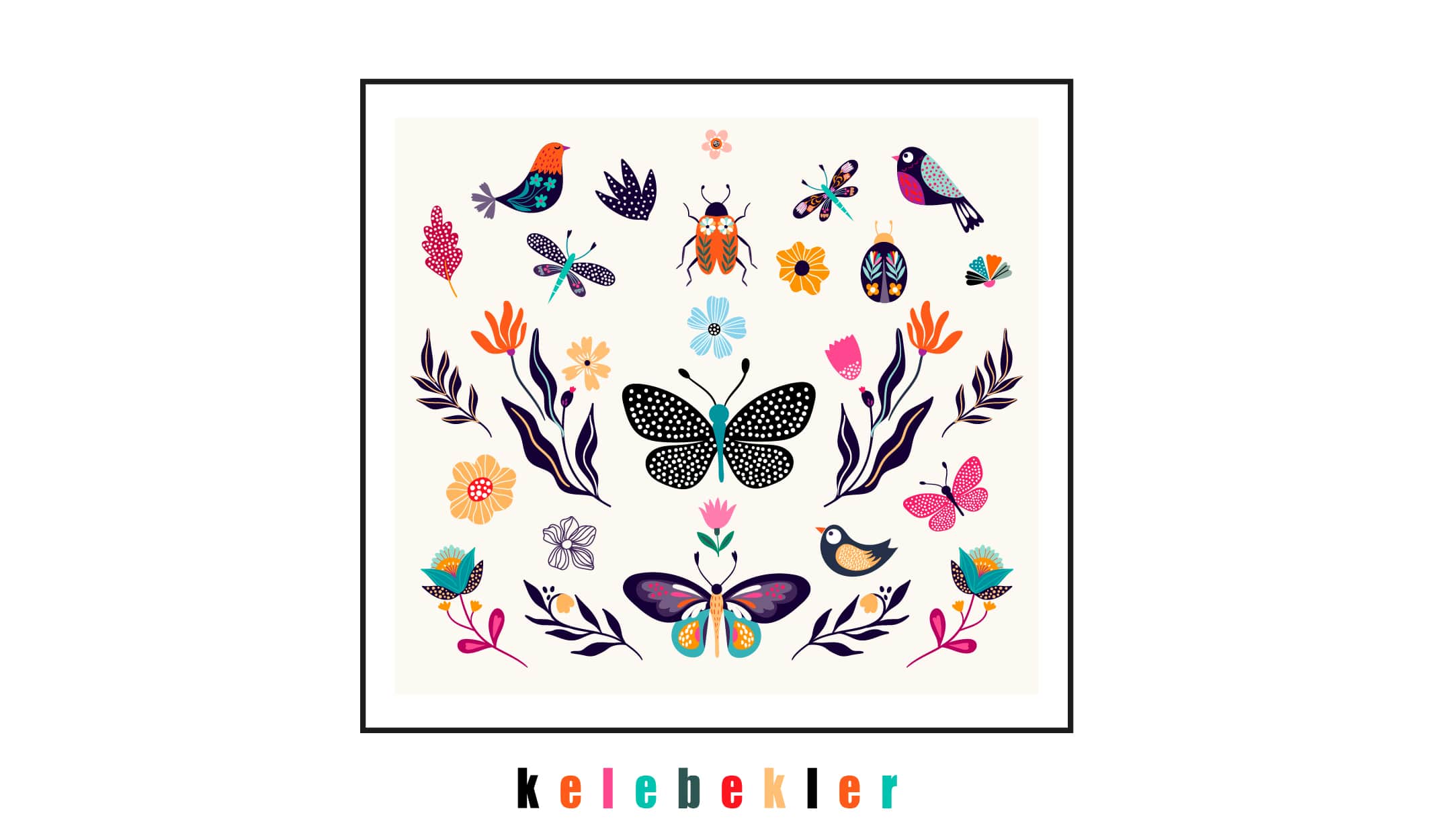 Kelebekler Hakkında Bilmediklerimiz