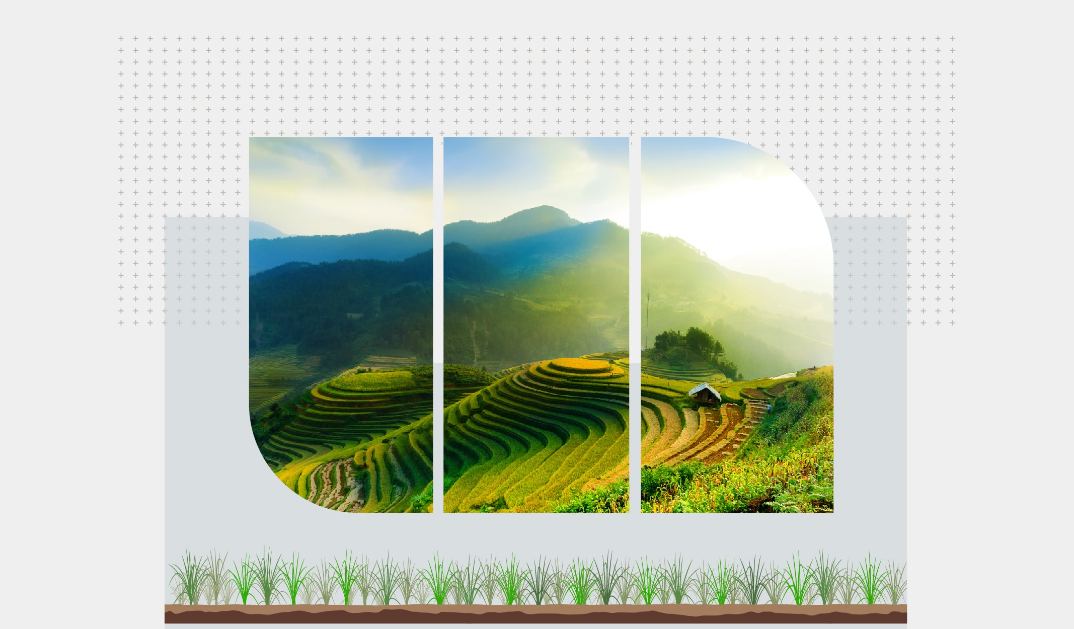 8 Fotoğraf İle Pirinç Terasları Ve Tarlaları