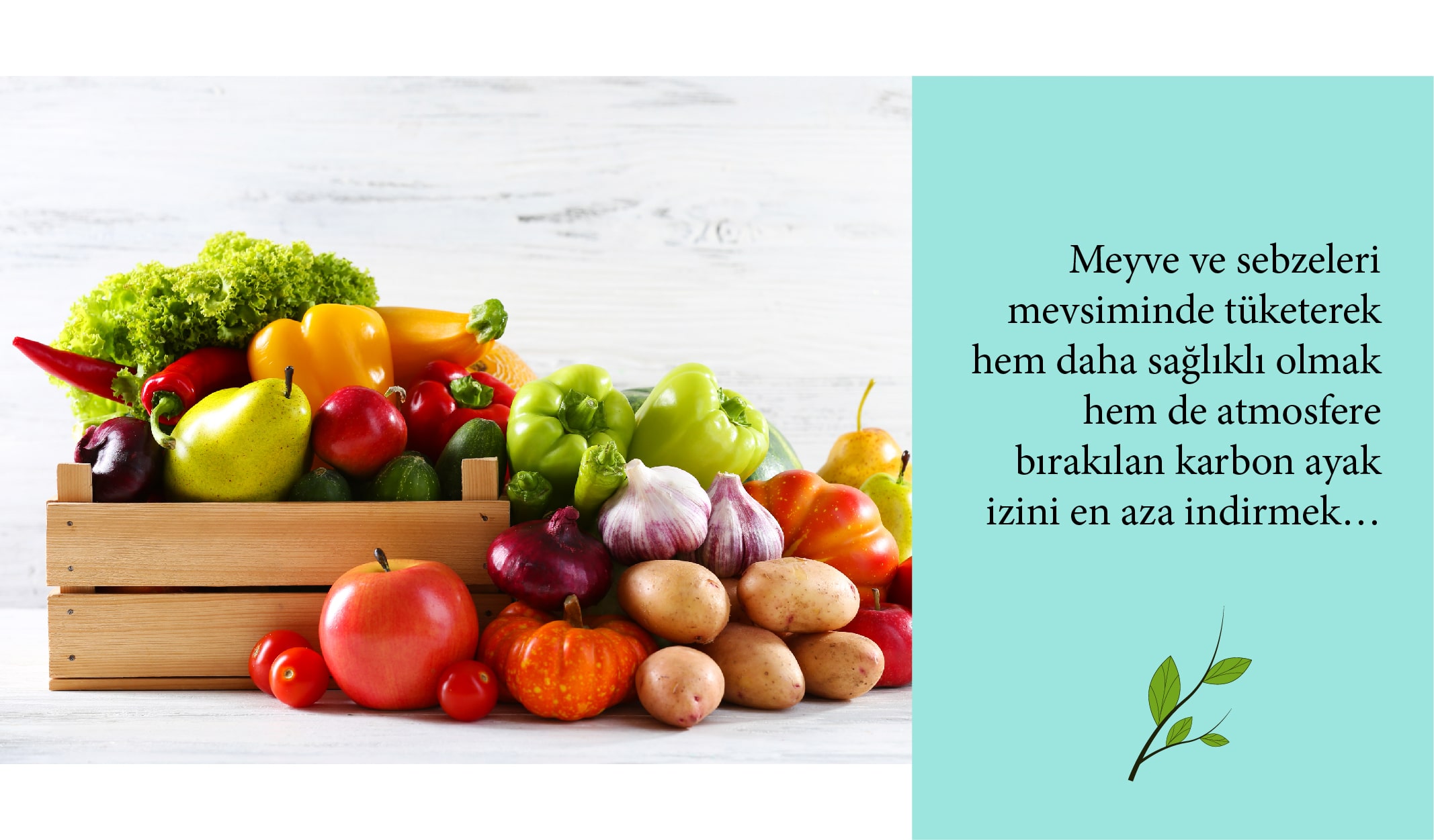 armut, elma, biber, patates