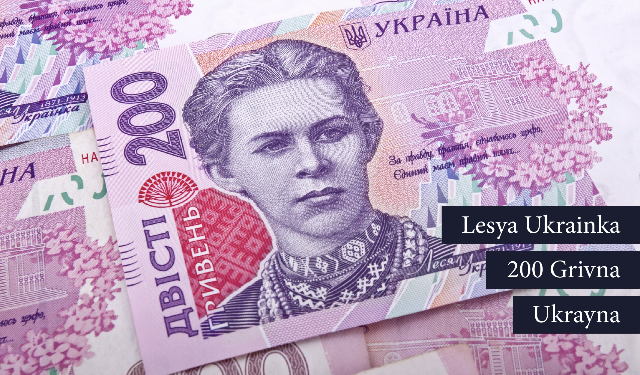 banknot_kadin-09-min