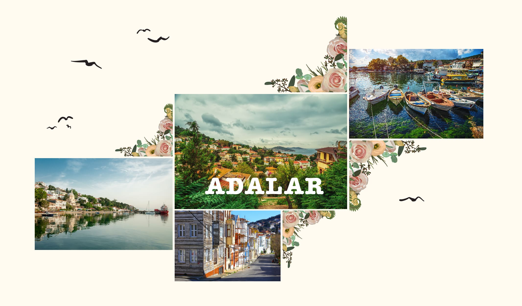 Marmara Denizi’nin Kalbine Yolculuk