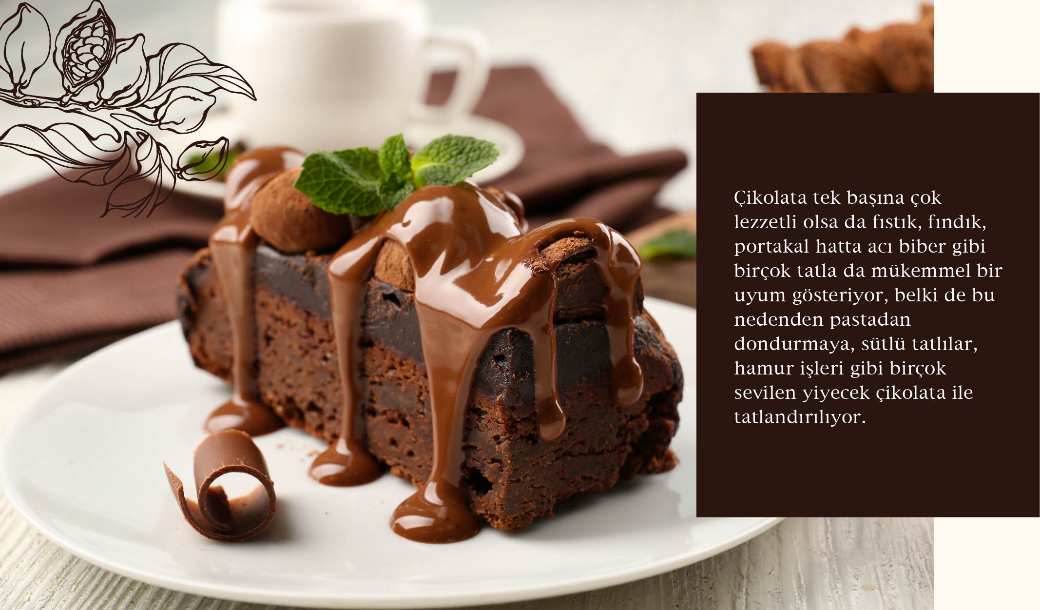 cikolata-09-min